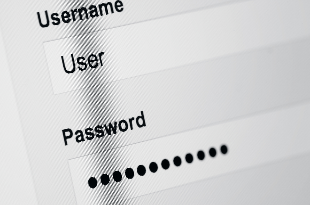 Close-up of a login form with a username field containing “User” and a password field filled with hidden dots.